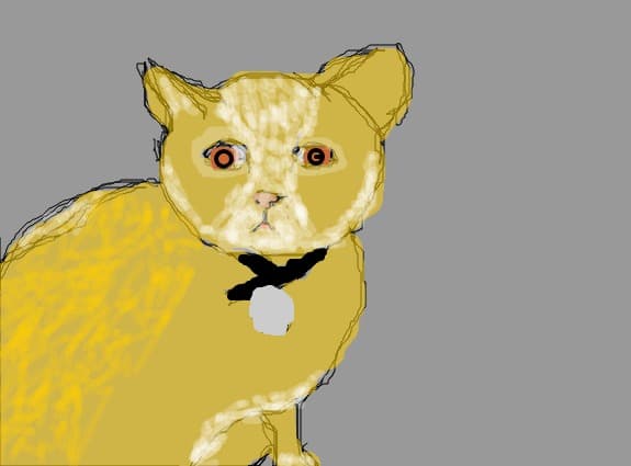 chity