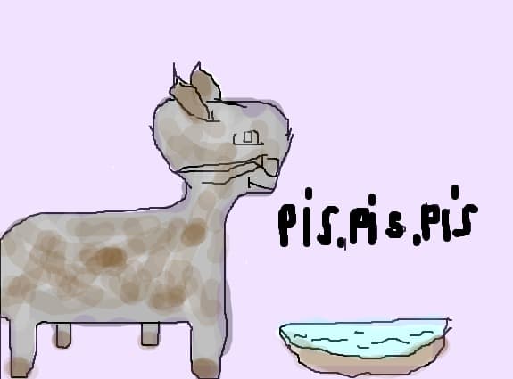 o pisica