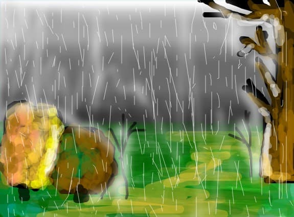 rain