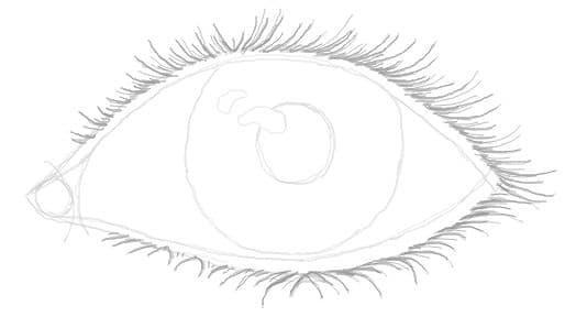 Eyelashes on an eye by Brenda H.