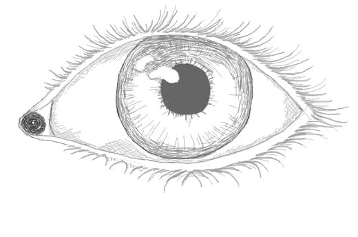 Eyelashes on eye by Brenda H.