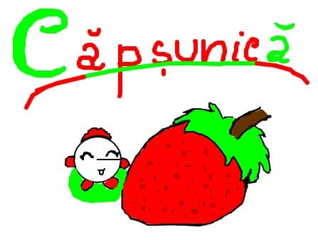 Mister capsunica