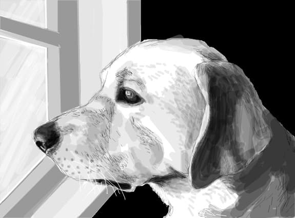 Desen 27870 modificat:Dog