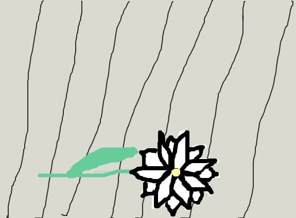 Floare
