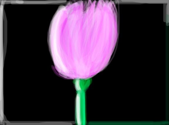 A flower