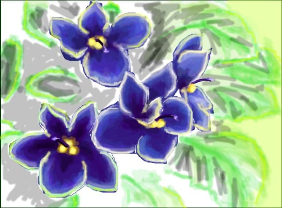violete