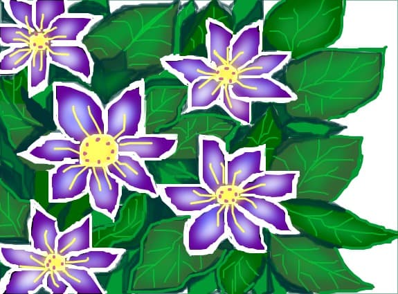 flori