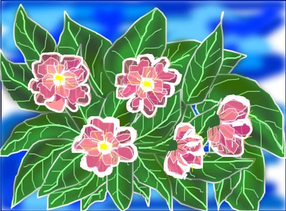 flori