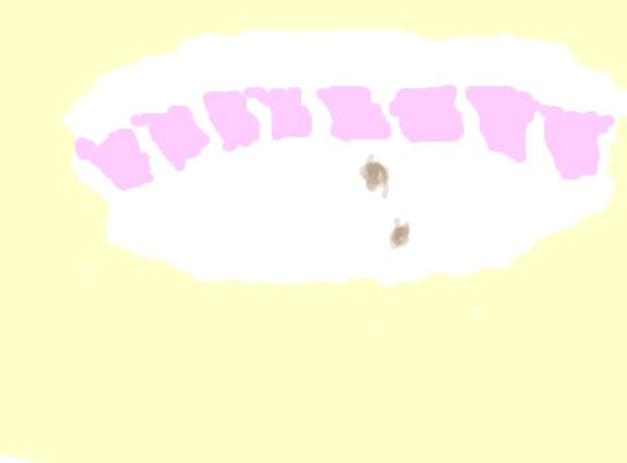ochi