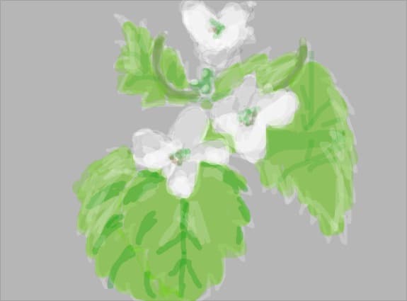 floricele