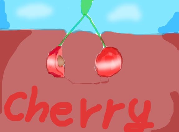 cherry