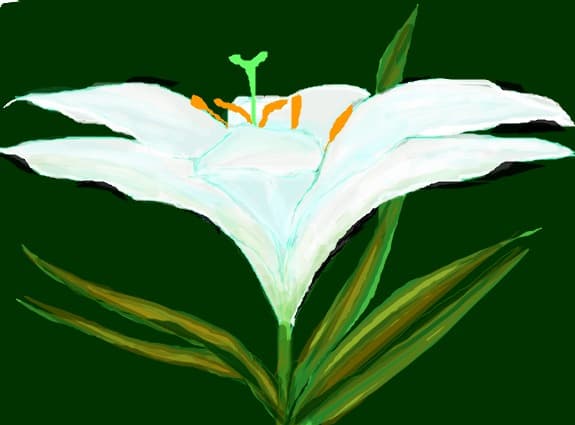 floare