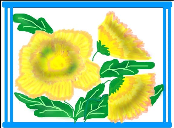 FLORI