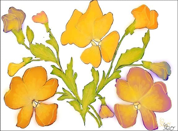 decorativ art ( variation )