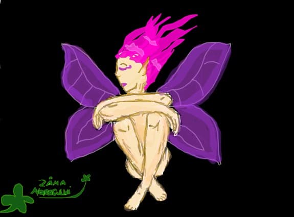 Desen 48123 modificat:o zana