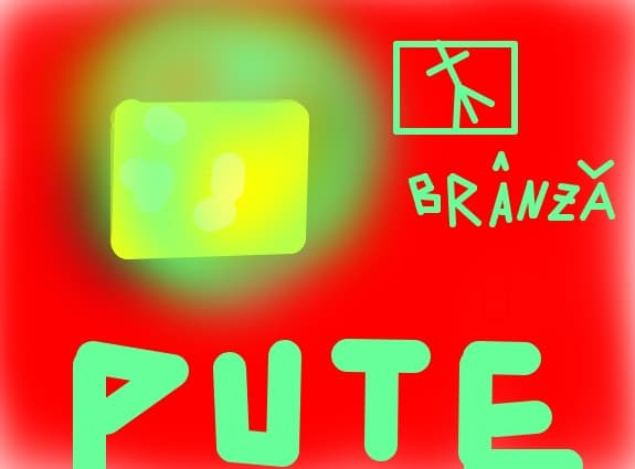 Brinza
