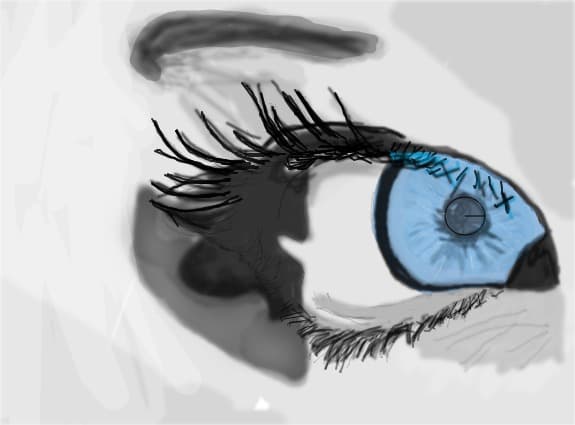 Eye
