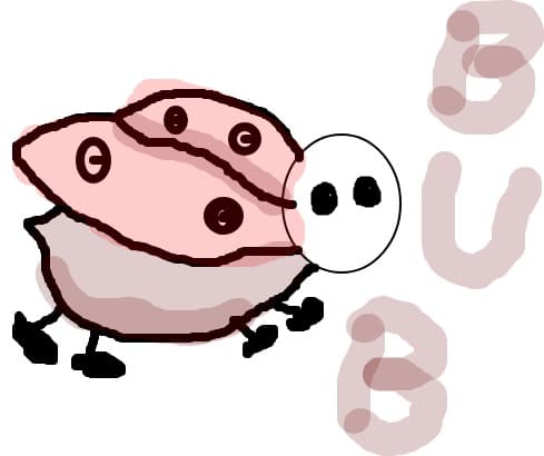 bub