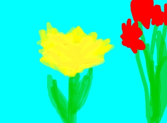 flori