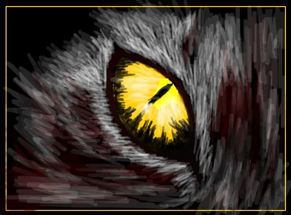 I can see you