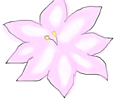 floare