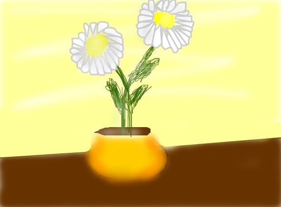 Flori ^_^