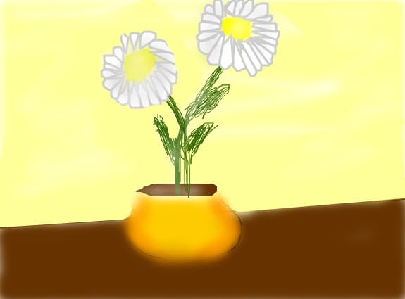 Flori ^_^