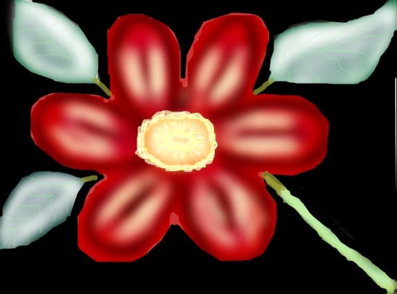 floare