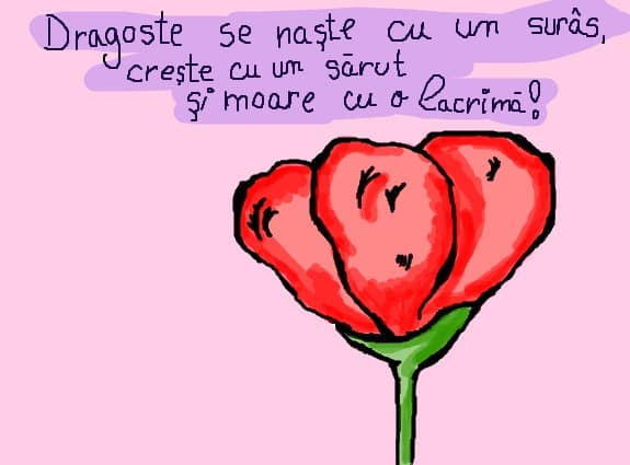 o floare :))
