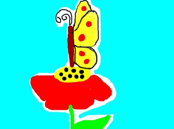 fluture pe floare