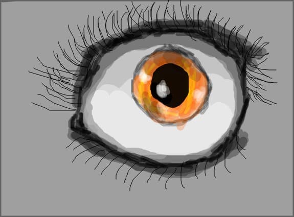 eye