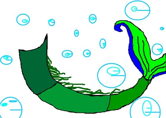 mermaid tail