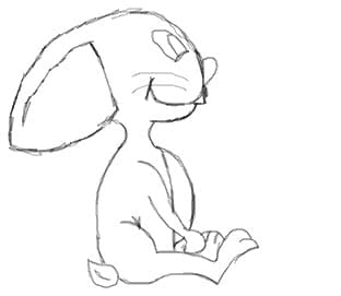 bunny