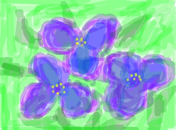 flori,floricele...