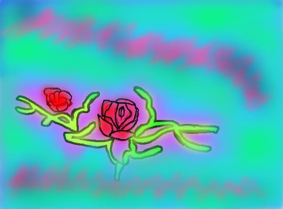 rose