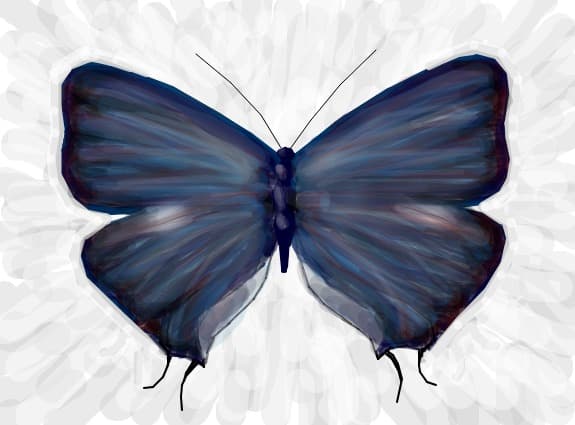 fluture