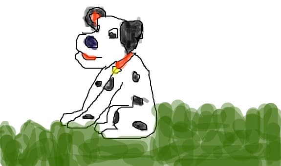 Dalmatians