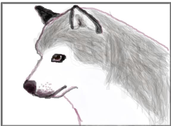 the wolf