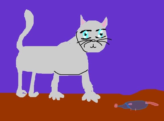 my little cat