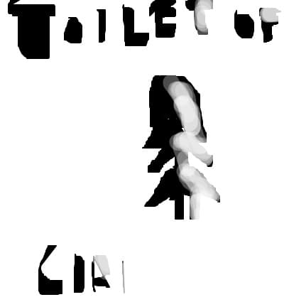 toilet of girl