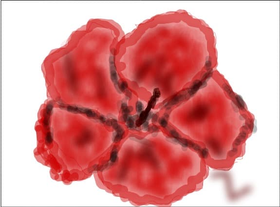Flower...