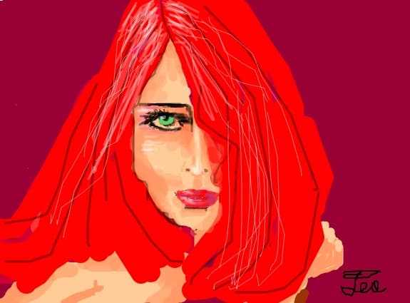 Desen 4044 modificat:a