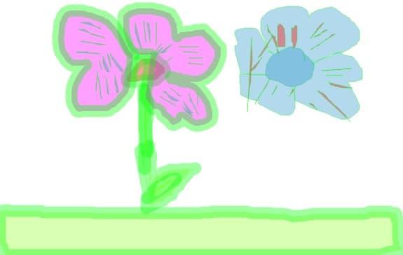 flori