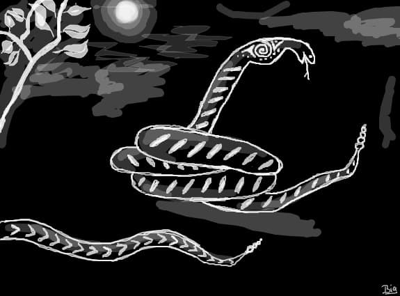 snake