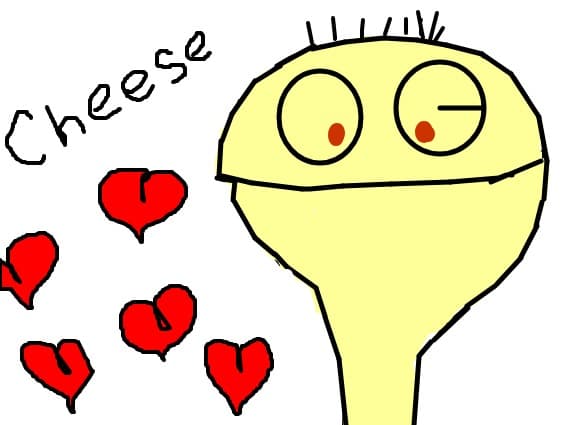 cheese