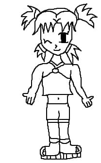 temari schita