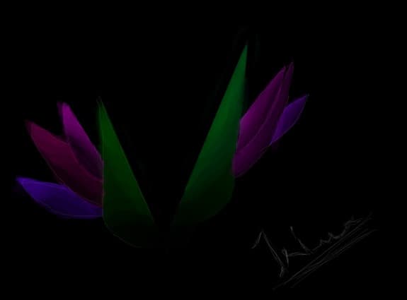 flowers