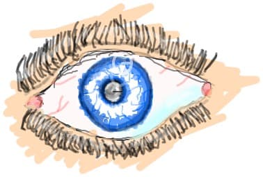 Eye