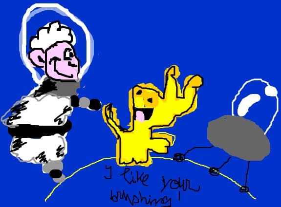 the first sheep in the space!