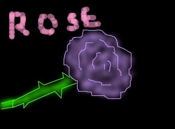 Rose purple
